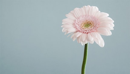 cykl świadome życie