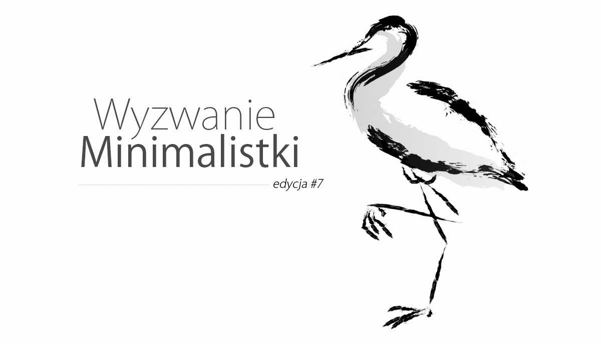 Read more about the article Wyzwanie Minimalistki #7